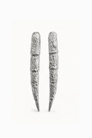 long tusk earrings - main photo